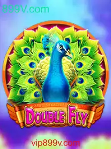 Descubra a Aventura Empolgante de DoubleFly